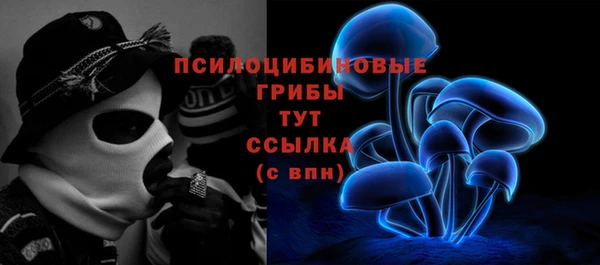 прущие крисы Арсеньев