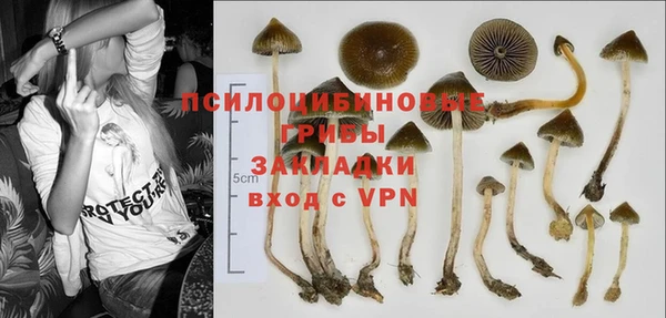 mix Аркадак
