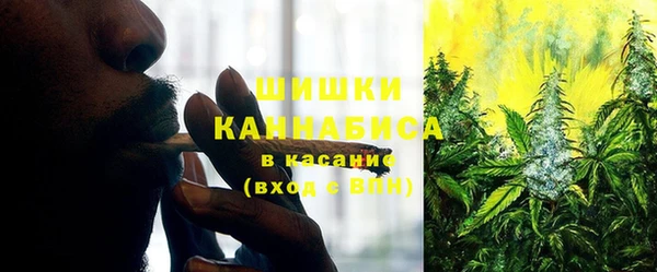 прущие крисы Арсеньев